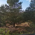База отдыха Wilsumer Berge