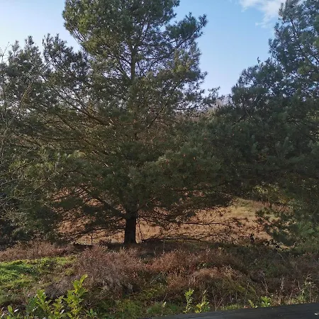Tatil parkı Wilsumer Berge