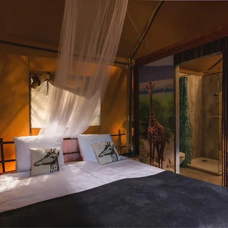 Tatil parkı Wilsumer Berge *