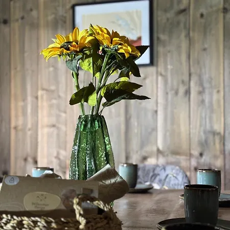 Üdülőpark Glamping Wilsumer Berge Wilsum